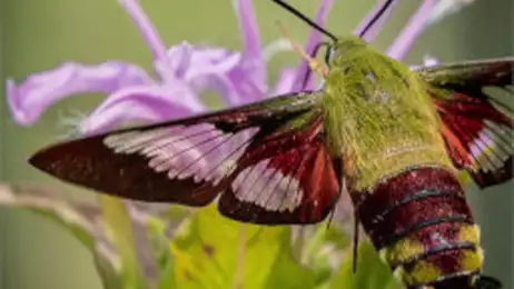 Comprima arquivos para um tamanho menor, até 10 vezes!